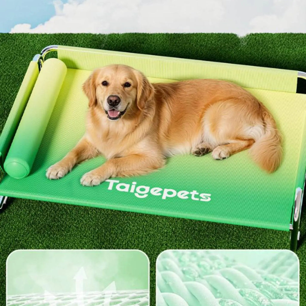 Stainless Steel Dog Bed Washable Elevated Dog Bed Pet Furniture Breathable Moisture Resistant for Large Dogs