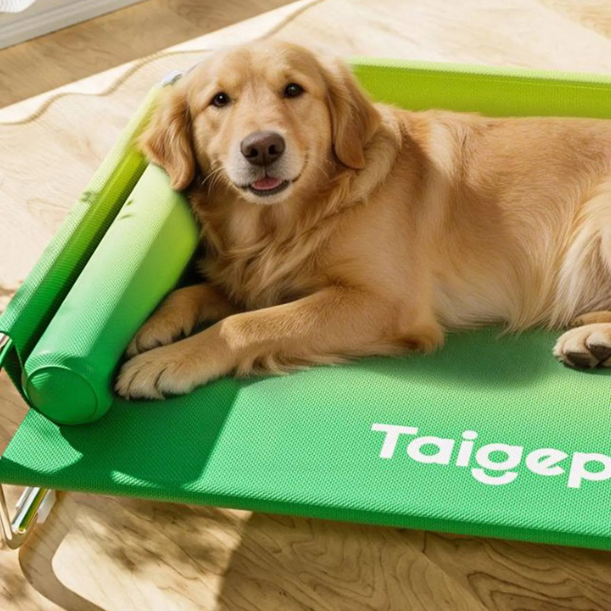 Stainless Steel Dog Bed Washable Elevated Dog Bed Pet Furniture Breathable Moisture Resistant for Large Dogs