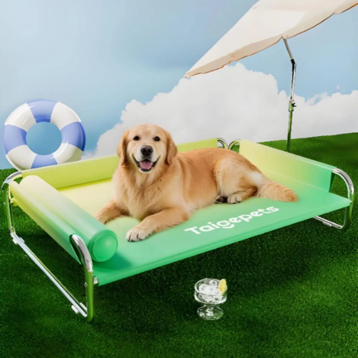 Stainless Steel Dog Bed Washable Elevated Dog Bed Pet Furniture Breathable Moisture Resistant for Large Dogs